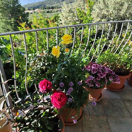 B&B Easy Wind Cala Gonone Extérieur photo