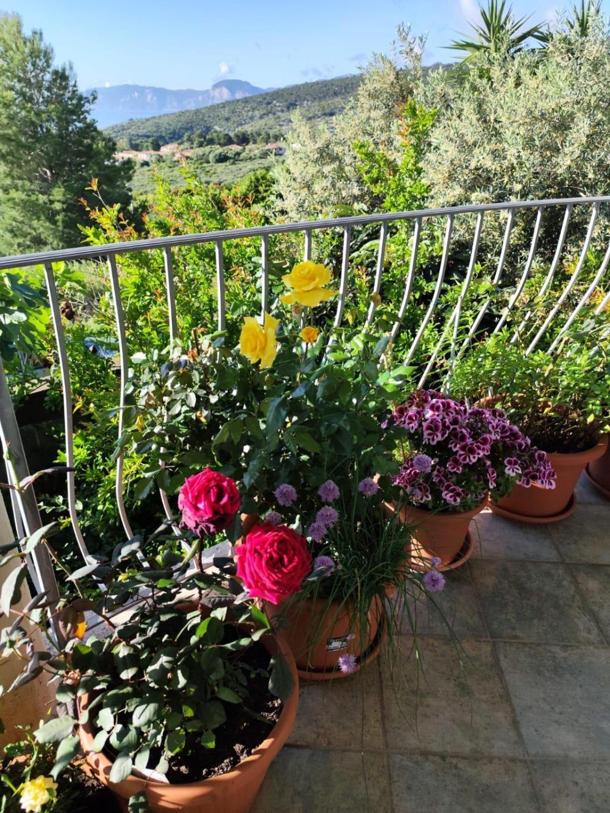 B&B Easy Wind Cala Gonone Extérieur photo