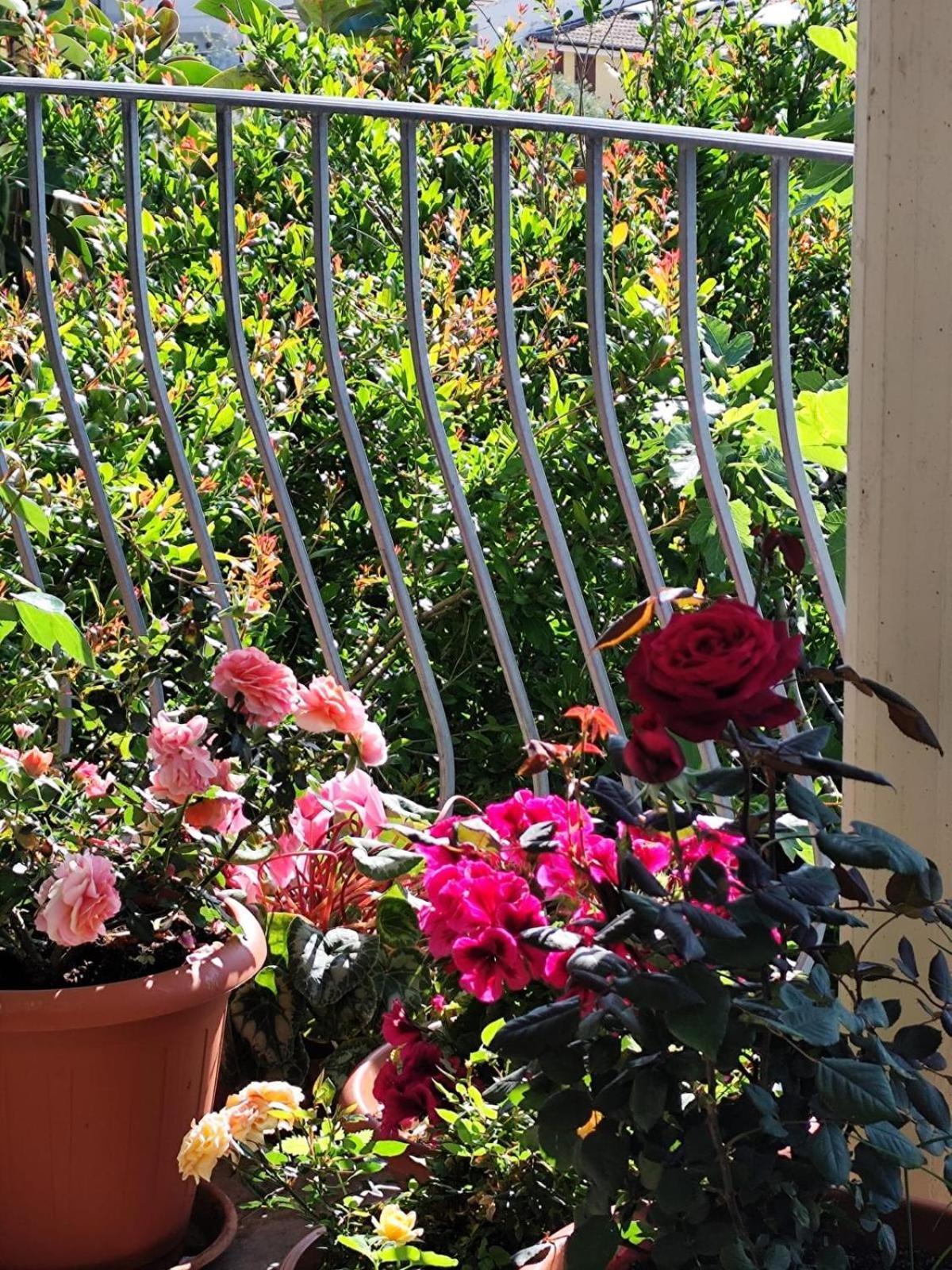 B&B Easy Wind Cala Gonone Extérieur photo