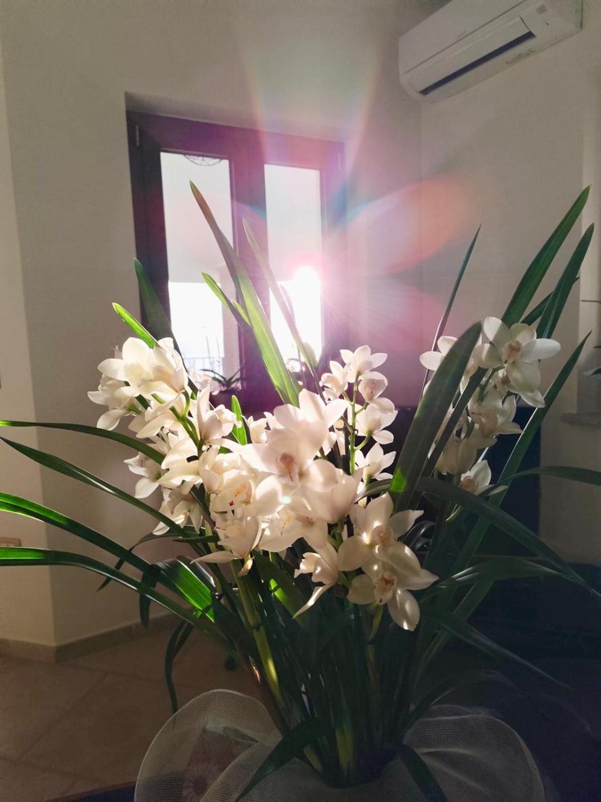 B&B Easy Wind Cala Gonone Extérieur photo
